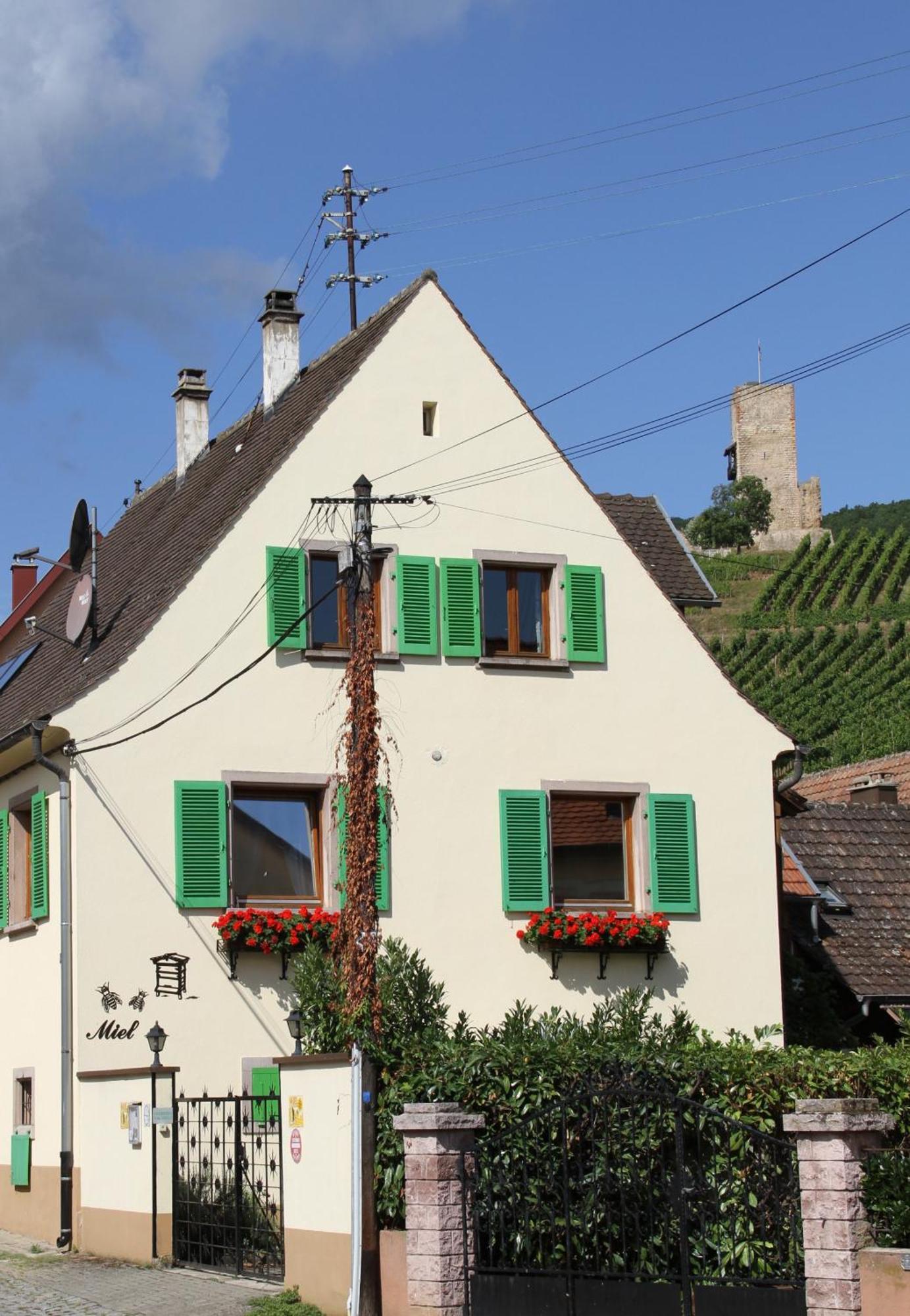 Les Gites 2-4 Pers Remy Herold Katzenthal エクステリア 写真