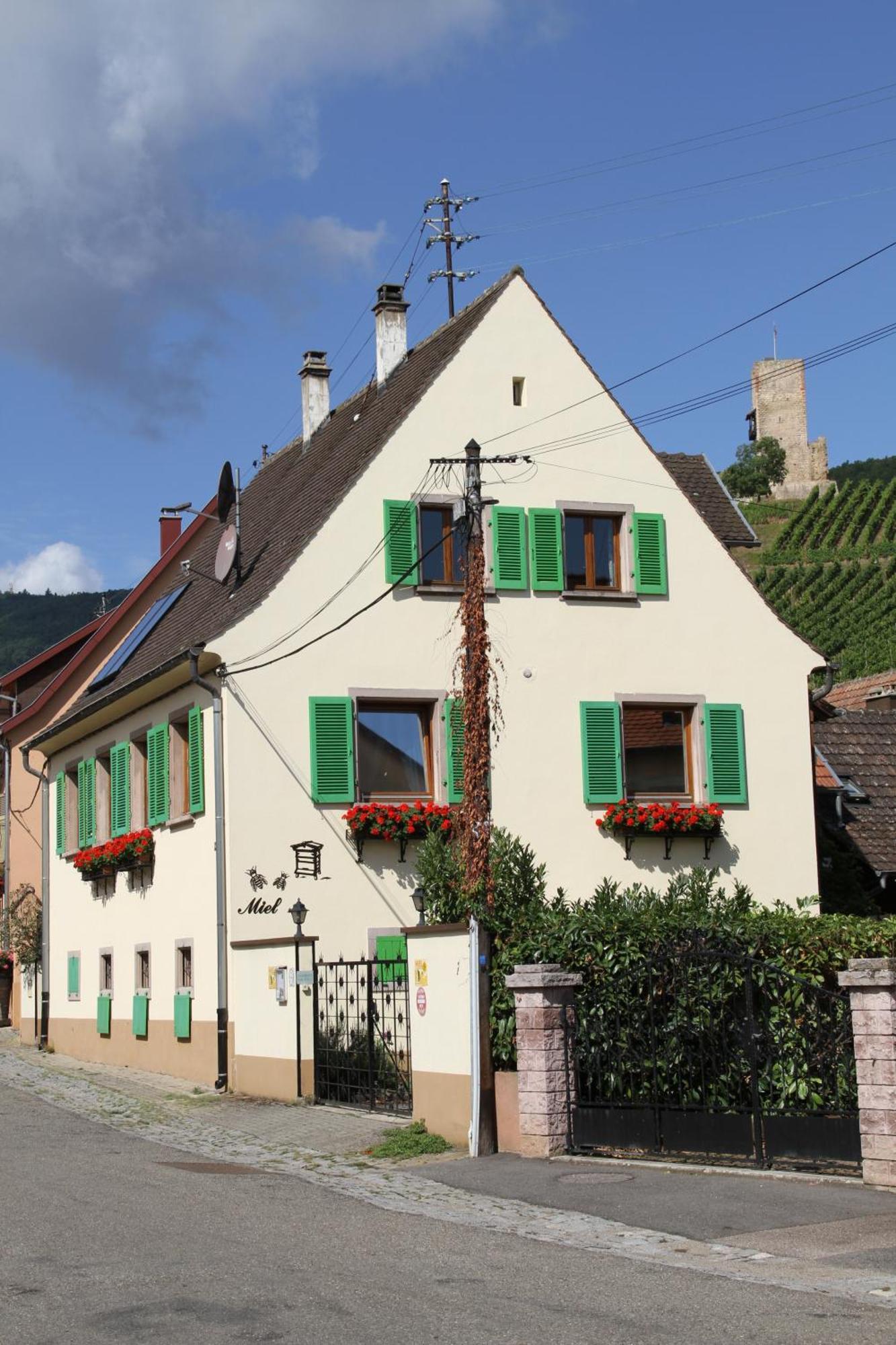 Les Gites 2-4 Pers Remy Herold Katzenthal エクステリア 写真